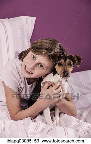 Girl lying in bed with a Danish Swedish Farmdog View Large Photo Image Stock Photo - Girl lying in bed with a Danish Swedish Farmdog. Fotosearch