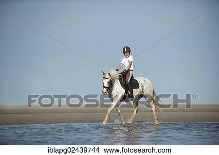 "Girl on a pony trotting along the beach, St. Peter-Ording, Schleswig-Holstein, Germany, Europe" View Large Photo Image Picture - "Girl on a pony trotting along the beach, St. Peter-Ording, Schleswig-Holstein, Germany, Europe". Fotosearch