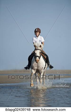 Stock Photo - "Girl on a pony trotting along the beach, St. Peter-Ording, Schleswig-Holstein, Germany, Europe". Fotosearch