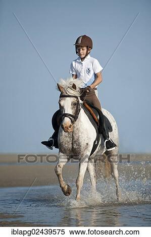 "Girl on a pony trotting along the beach, St. Peter-Ording, Schleswig-Holstein, Germany, Europe" View Large Photo Image Stock Photography - "Girl on a pony trotting along the beach, St. Peter-Ording, Schleswig-Holstein, Germany, Europe". Fotosearch