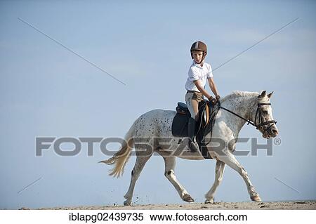 "Girl on a pony trotting along the beach, St. Peter-Ording, Schleswig-Holstein, Germany, Europe" View Large Photo Image Stock Photography - "Girl on a pony trotting along the beach, St. Peter-Ording, Schleswig-Holstein, Germany, Europe". Fotosearch
