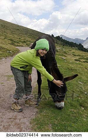 Picture - "Girl petting a donkey on a hike, Raschoetz near St. Ulrich or Ortisei, Val Gardena valley or Groednertal valley, province of Bolzano-Bozen, Alto Adige, Italy, Europe". Fotosearch