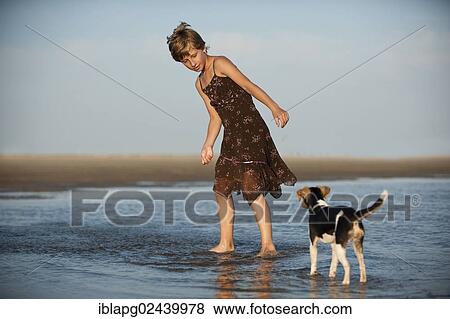 Stock Photo - Girl playing with a Dansk-Svensk Gardshund or Danish-Swedish Farmdog on the beach. Fotosearch