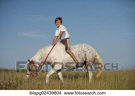 Girl riding a pony across a meadow View Large Photo Image Picture - Girl riding a pony across a meadow. Fotosearch