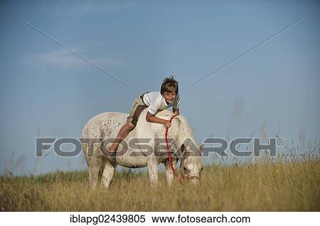 Girl riding a pony across a meadow View Large Photo Image Stock Photography - Girl riding a pony across a meadow. Fotosearch
