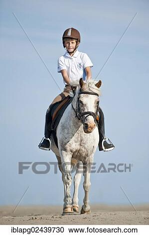 "Girl riding a pony along the beach, St. Peter-Ording, Schleswig-Holstein, Germany, Europe" View Large Photo Image Stock Image - "Girl riding a pony along the beach, St. Peter-Ording, Schleswig-Holstein, Germany, Europe". Fotosearch