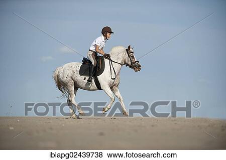 "Girl riding a pony on the beach, St. Peter-Ording, Schleswig-Holstein, Germany, Europe" View Large Photo Image Stock Photo - "Girl riding a pony on the beach, St. Peter-Ording, Schleswig-Holstein, Germany, Europe". Fotosearch