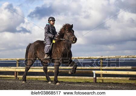 Stock Photo - "Girl riding an Icelandic Horse in a tolt gait, Salzburg, Austria, Europe". Fotosearch