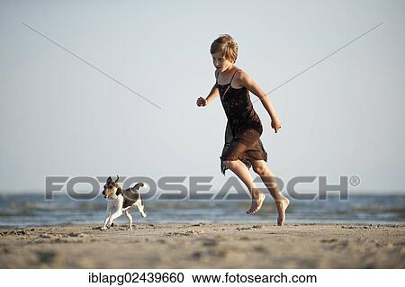 Girl running with a Dansk-Svensk Gardshund or Danish-Swedish Farmdog on the beach View Large Photo Image Stock Image - Girl running with a Dansk-Svensk Gardshund or Danish-Swedish Farmdog on the beach. Fotosearch