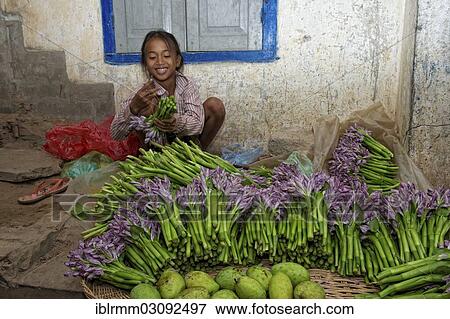 "Girl selling water lilies at a market, Siem Reap, Siem Reap, Siem Reap Province, Cambodia, Asia" View Large Photo Image Stock Photo - "Girl selling water lilies at a market, Siem Reap, Siem Reap, Siem Reap Province, Cambodia, Asia". Fotosearch