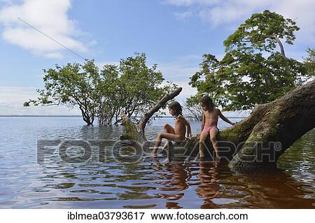 "Girl sitting on a tree trunk of a giant rainforest tree on the banks of the Amazon and Rio Solimoes, Mamiraua Sustainable Development Reserve in Tefe, Amazonas, Brazil, South America" View Large Photo Image Stock Photo - "Girl sitting on a tree trunk of a giant rainforest tree on the banks of the Amazon and Rio Solimoes, Mamiraua Sustainable Development Reserve in Tefe, Amazonas, Brazil, South America". Fotosearch