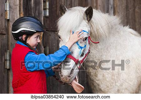 "Girl wearing a riding helmet painting a pony with finger paints, pony stretching out its tongue, gray, Tyrol, Austria, Europe" View Large Photo Image Stock Image - "Girl wearing a riding helmet painting a pony with finger paints, pony stretching out its tongue, gray, Tyrol, Austria, Europe". Fotosearch
