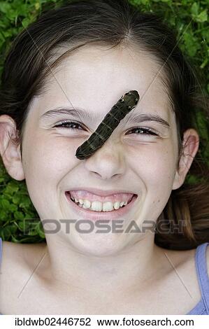 "Girl with a caterpillar on her face, Elephant Hawk-moth (Deilephila elpenor)" View Large Photo Image Stock Image - "Girl with a caterpillar on her face, Elephant Hawk-moth (Deilephila elpenor)". Fotosearch