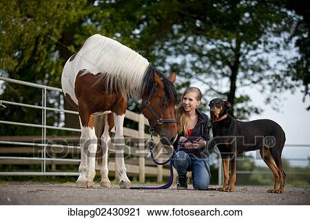 Girl with a horse and a Doberman View Large Photo Image Stock Image - Girl with a horse and a Doberman. Fotosearch
