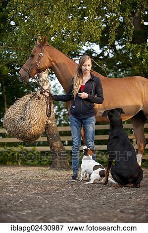Girl with a horse and dogs View Large Photo Image Stock Photo - Girl with a horse and dogs. Fotosearch