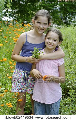"Girls in a meadow of marigolds, Krauter-Erlebnis-Park herb theme park, Bad Heilbrunn, Loisachtal, Tolzer Land, Upper Bavaria, Germany, Europe" View Large Photo Image Picture - "Girls in a meadow of marigolds, Krauter-Erlebnis-Park herb theme park, Bad Heilbrunn, Loisachtal, Tolzer Land, Upper Bavaria, Germany, Europe". Fotosearch