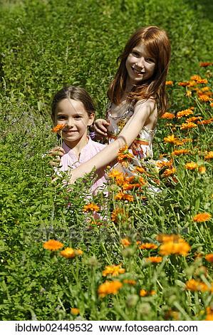 "Girls in a meadow of marigolds, Krauter-Erlebnis-Park herb theme park, Bad Heilbrunn, Loisachtal, Tolzer Land, Upper Bavaria, Germany, Europe" View Large Photo Image Stock Image - "Girls in a meadow of marigolds, Krauter-Erlebnis-Park herb theme park, Bad Heilbrunn, Loisachtal, Tolzer Land, Upper Bavaria, Germany, Europe". Fotosearch