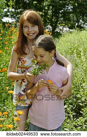 "Girls in a meadow of marigolds, Krauter-Erlebnis-Park herb theme park, Bad Heilbrunn, Loisachtal, Tolzer Land, Upper Bavaria, Germany, Europe" View Large Photo Image Stock Image - "Girls in a meadow of marigolds, Krauter-Erlebnis-Park herb theme park, Bad Heilbrunn, Loisachtal, Tolzer Land, Upper Bavaria, Germany, Europe". Fotosearch