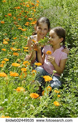 "Girls in a meadow of marigolds, Krauter-Erlebnis-Park herb theme park, Bad Heilbrunn, Loisachtal, Tolzer Land, Upper Bavaria, Germany, Europe" View Large Photo Image Stock Photography - "Girls in a meadow of marigolds, Krauter-Erlebnis-Park herb theme park, Bad Heilbrunn, Loisachtal, Tolzer Land, Upper Bavaria, Germany, Europe". Fotosearch