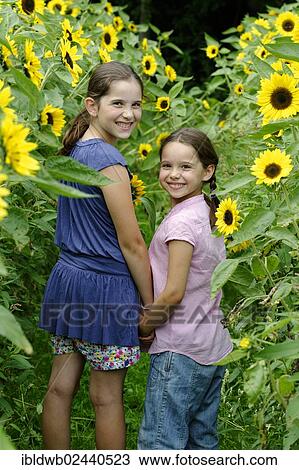 Stock Image - Girls in a sunflower field. Fotosearch