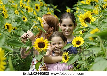Stock Photo - Girls in a sunflower field. Fotosearch