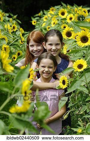 Girls in a sunflower field View Large Photo Image Stock Photo - Girls in a sunflower field. Fotosearch