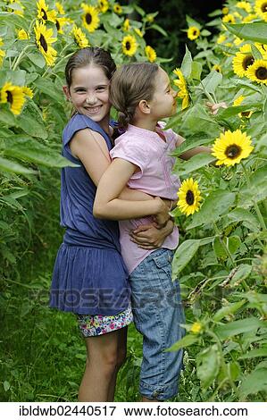 Girls in a sunflower field View Large Photo Image Stock Photo - Girls in a sunflower field. Fotosearch