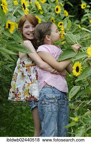 Stock Photo - Girls in a sunflower field. Fotosearch