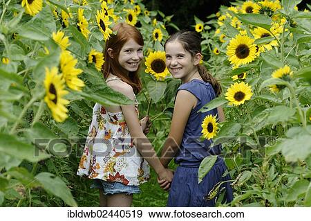 Girls in a sunflower field View Large Photo Image Stock Photo - Girls in a sunflower field. Fotosearch