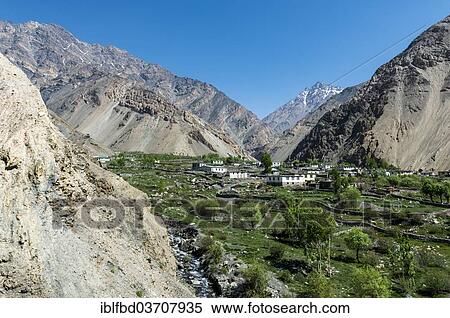 Stock Photography - "Giu village in the green Giu valley, Giu valley, Giu village, Himachal Pradesh, India, Asia". Fotosearch