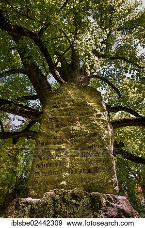 "Glacial erratic rock hewn with the Wessobrunn Prayer or the Wessobrunn Creation Poem, memorial plaque, Lindenplatz square, Wessobrunn, Upper Bavaria, Bavaria, Germany, Europe" View Large Photo Image Stock Photo - "Glacial erratic rock hewn with the Wessobrunn Prayer or the Wessobrunn Creation Poem, memorial plaque, Lindenplatz square, Wessobrunn, Upper Bavaria, Bavaria, Germany, Europe". Fotosearch