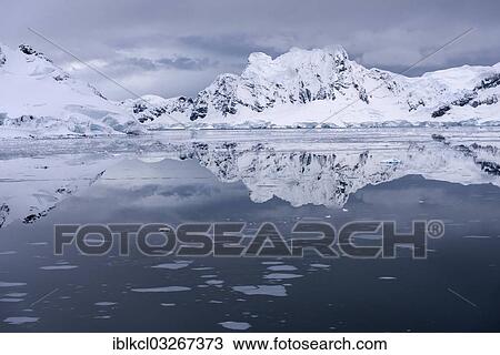 "Glaciated mountains reflected in Paradise Bay, Antarctic Peninsula, Antarctica" View Large Photo Image Stock Image - "Glaciated mountains reflected in Paradise Bay, Antarctic Peninsula, Antarctica". Fotosearch