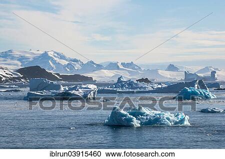 "Glacier and icebergs, Cierva Cove, Chavdar Peninsula, Antarctica" View Large Photo Image Stock Image - "Glacier and icebergs, Cierva Cove, Chavdar Peninsula, Antarctica". Fotosearch