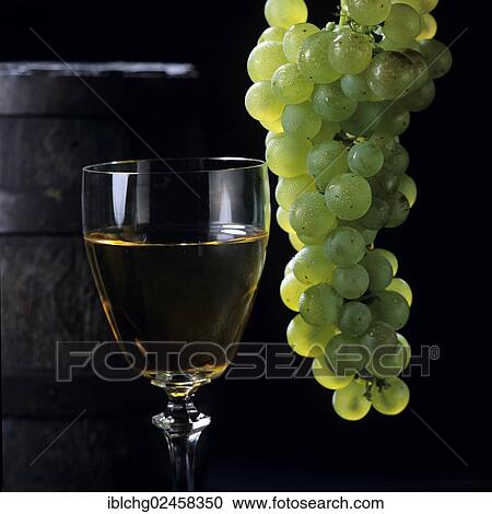 "Glass of white wine, Chateau d'Yquem, grand cru of Sauternes, Bordeaux, France, Europe" View Large Photo Image Stock Image - "Glass of white wine, Chateau d'Yquem, grand cru of Sauternes, Bordeaux, France, Europe". Fotosearch