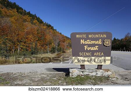 Glen Ellis Falls, sign of White Mountain National Forest, New Hampshire, USA View Large Photo Image Stock Photograph - Glen Ellis Falls, sign of White Mountain National Forest, New Hampshire, USA. Fotosearch
