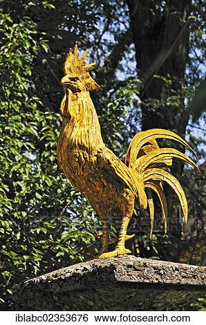 "Gold-colored rooster, sculpture in the Borstei, a heritage protected residential area in the district of Moosach, Munich, Bavaria, Germany, Europe" View Large Photo Image Stock Photograph - "Gold-colored rooster, sculpture in the Borstei, a heritage protected residential area in the district of Moosach, Munich, Bavaria, Germany, Europe". Fotosearch