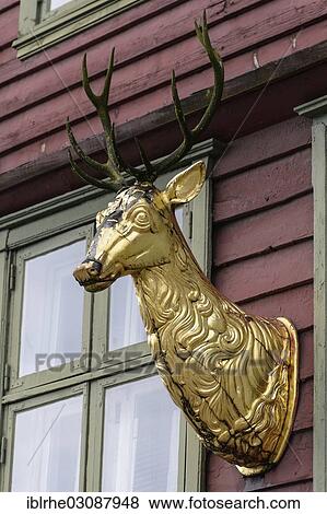 "Golden deer on a house in the historic Hanseatic Quarter, Bryggen, Bergen, Hordaland, Western Norway, Norway, Europe" View Large Photo Image Stock Photo - "Golden deer on a house in the historic Hanseatic Quarter, Bryggen, Bergen, Hordaland, Western Norway, Norway, Europe". Fotosearch