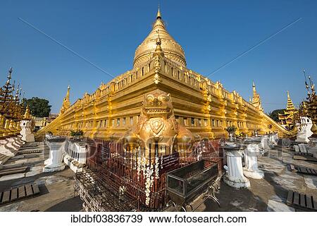 "Golden lion or chinthe, golden chedi, Shwezigon Pagoda or Shwezigon Paya, Nyaung U, Mandalay Region, Myanmar, Asia" View Large Photo Image Stock Photo - "Golden lion or chinthe, golden chedi, Shwezigon Pagoda or Shwezigon Paya, Nyaung U, Mandalay Region, Myanmar, Asia". Fotosearch