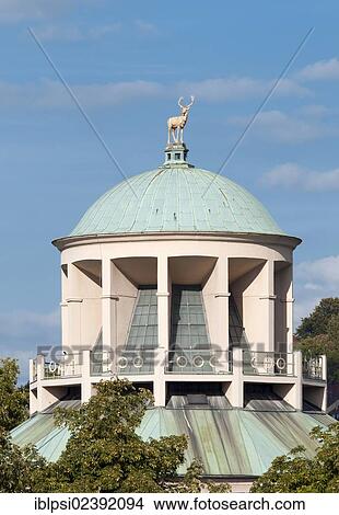 "Golden stag on cupola of Kunstgebaeude Art Gallery Center, Schlossplatz, Stuttgart, Baden-Wuerttemberg, Germany, Europe" View Large Photo Image Picture - "Golden stag on cupola of Kunstgebaeude Art Gallery Center, Schlossplatz, Stuttgart, Baden-Wuerttemberg, Germany, Europe". Fotosearch