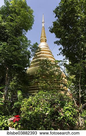 Stock Image - "Golden Stupa in the temple precinct of Wat Phra Kaeo, Wat Phra Kaew, Chiang Rai, Chiang Rai province, Northern Thailand, Thailand, Asia". Fotosearch