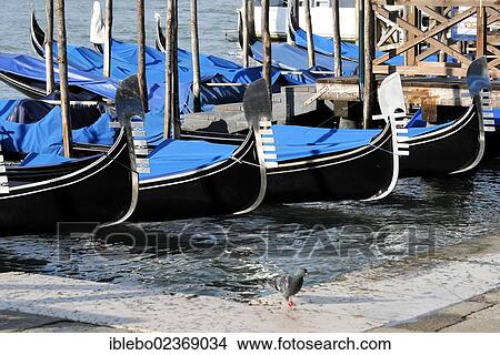"Gondolas, Grand Canal, San Marco district, Venice, Veneto, Italy, Europe" View Large Photo Image Picture - "Gondolas, Grand Canal, San Marco district, Venice, Veneto, Italy, Europe". Fotosearch