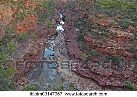 "Gorge at the Z Bend, Kalbarri National Park, Kalbarri, Western Australia, Australia, Oceania" View Large Photo Image Stock Photo - "Gorge at the Z Bend, Kalbarri National Park, Kalbarri, Western Australia, Australia, Oceania". Fotosearch