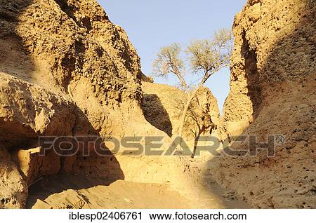 "Gorge, Sesriem Canyon, Namib-Naukluft-Park, Namibia, Africa" View Large Photo Image Stock Image - "Gorge, Sesriem Canyon, Namib-Naukluft-Park, Namibia, Africa". Fotosearch