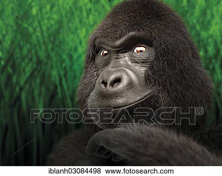"Gorilla, portrait, 3D rendering, illustration" View Large Photo Image Stock Photo - "Gorilla, portrait, 3D rendering, illustration". Fotosearch