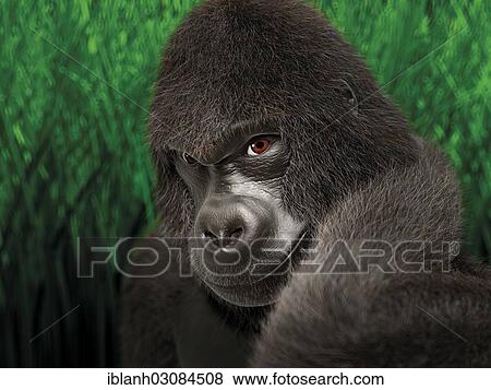 "Gorilla, portrait, 3D rendering, illustration" View Large Photo Image Stock Photo - "Gorilla, portrait, 3D rendering, illustration". Fotosearch