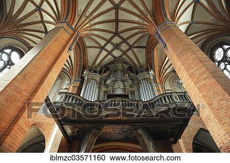 "Gothic vaulted ceiling, organ with a Baroque organ case, Marienkirche or St. Mary's Church, Gustrow, Mecklenburg-Western Pomerania, Germany, Europe" View Large Photo Image Stock Image - "Gothic vaulted ceiling, organ with a Baroque organ case, Marienkirche or St. Mary's Church, Gustrow, Mecklenburg-Western Pomerania, Germany, Europe". Fotosearch