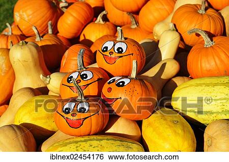 "Gourds, some with painted faces, Chiemgau region, Upper Bavaria, Bavaria, Germany, Europe" View Large Photo Image Stock Photograph - "Gourds, some with painted faces, Chiemgau region, Upper Bavaria, Bavaria, Germany, Europe". Fotosearch