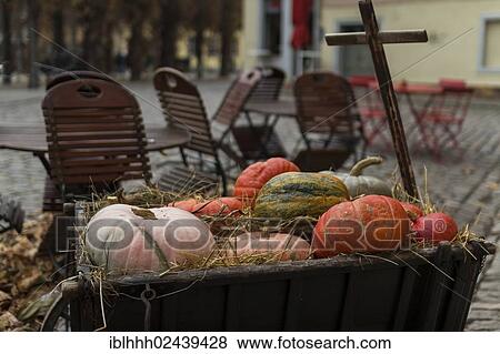 "Gourds, squashes or pumpkins (Cucurbita) on a cart, Weimar, Thuringia, Germany, Europe" View Large Photo Image Stock Photo - "Gourds, squashes or pumpkins (Cucurbita) on a cart, Weimar, Thuringia, Germany, Europe". Fotosearch