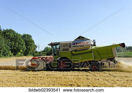 "Grain harvest, farming, near Ismaning, Upper Bavaria, Bavaria, Germany, Europe" View Large Photo Image Stock Image - "Grain harvest, farming, near Ismaning, Upper Bavaria, Bavaria, Germany, Europe". Fotosearch
