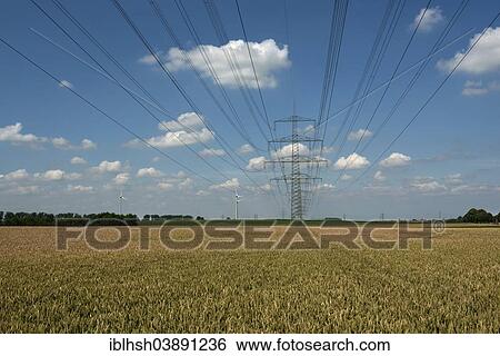 Stock Photograph - "Grainfield, power lines, North Rhine-Westphalia, Germany, Europe". Fotosearch